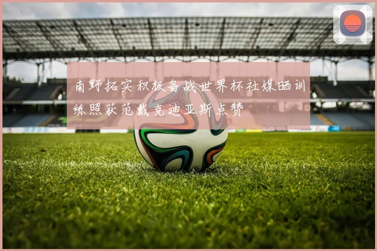 南野拓实积极备战世界杯社媒晒训练照获范戴克迪亚斯点赞